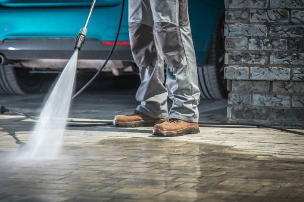 Best Gutter Cleaning  in Princeton, TX
