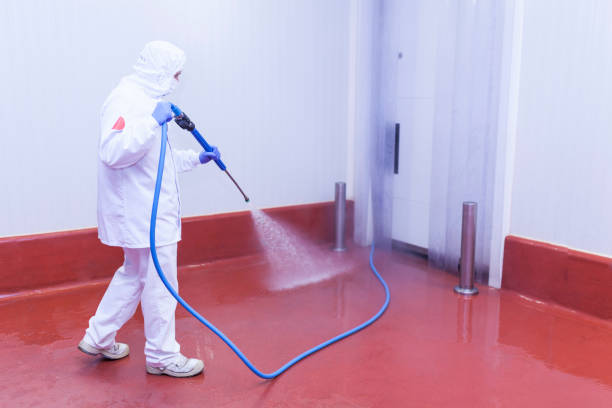 Professional  Pressure Washing Services in Princeton, TX