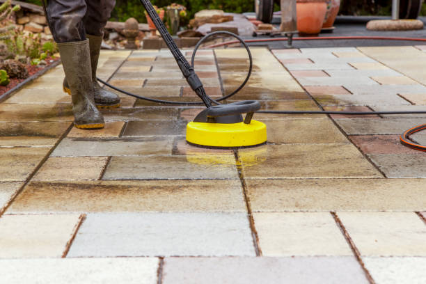 Best Solar Panel Cleaning  in Princeton, TX
