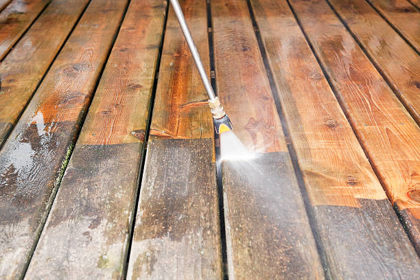Best Residential Exterior Washing  in Princeton, TX